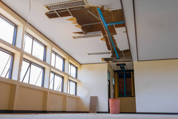 Best Flooded house restoration  in Tenaha, TX