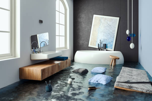 Best Professional water damage repair  in Tenaha, TX