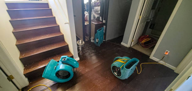 Best Professional water damage repair  in Tenaha, TX