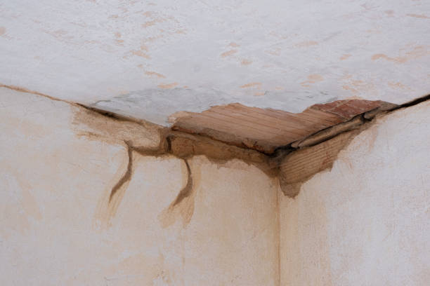 Best Flood restoration services  in Tenaha, TX
