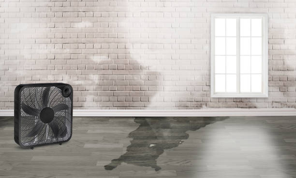 Best Commercial water damage restoration  in Tenaha, TX