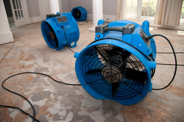 Best Flood damage cleanup  in Tenaha, TX