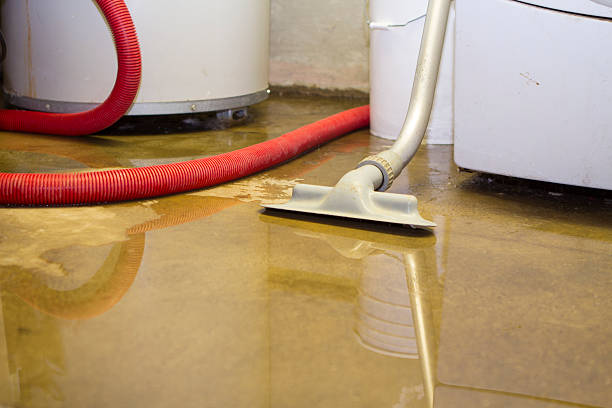 Best Emergency water extraction  in Tenaha, TX