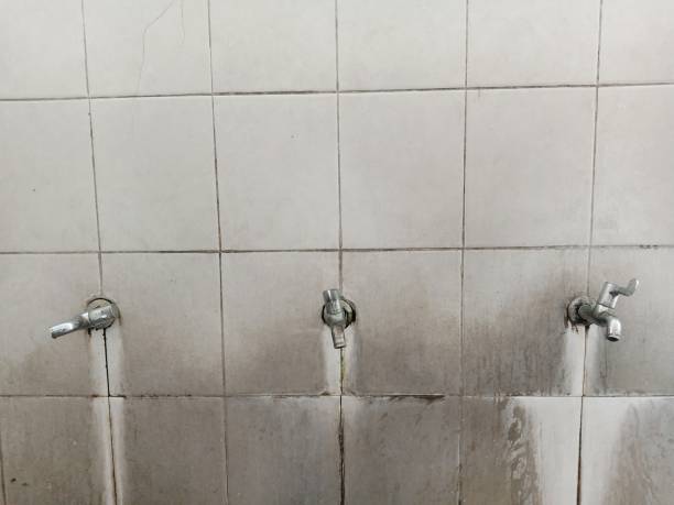 Best Commercial water damage restoration  in Tenaha, TX