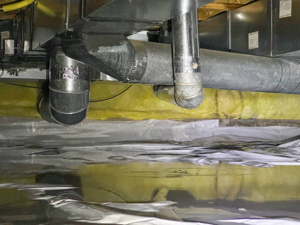 Best Fire Damage Restoration  in Tenaha, TX