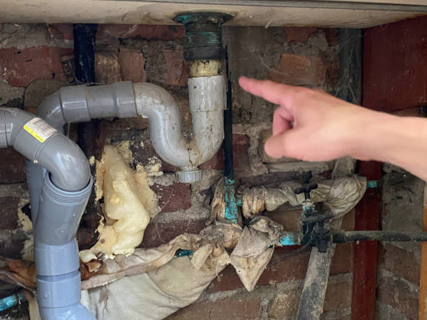 Best Sewage cleanup and water damage restoration  in Tenaha, TX