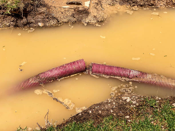Best Water damage contractors near me  in Tenaha, TX