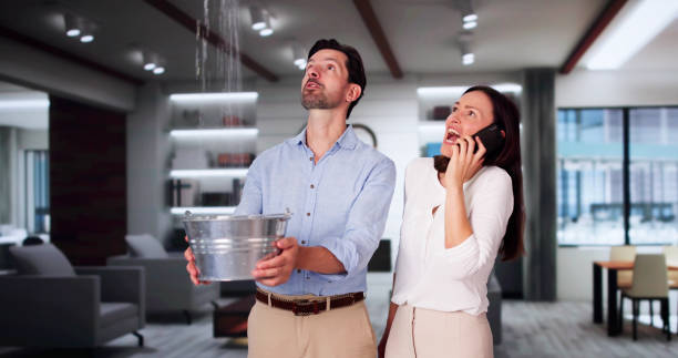 Best Basement water damage restoration  in Tenaha, TX
