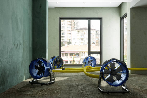 Best 24/7 water damage repair  in Tenaha, TX